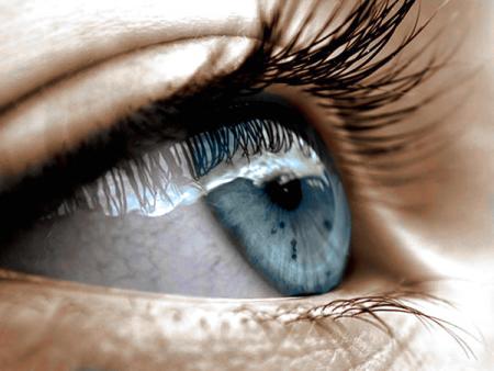 L'oeil