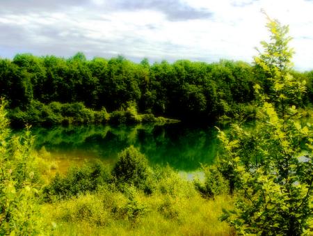 mes photographies