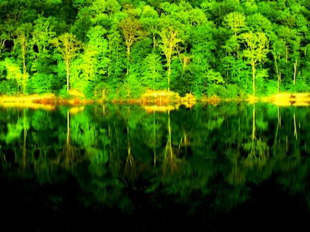 mes photographies