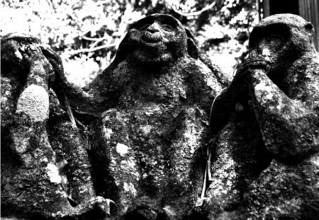 3 singes de la sagesse