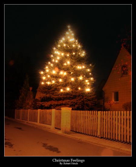 Dicton de noël